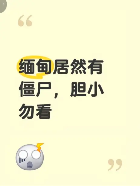 《缅甸僵尸出土事件》高清完整版在线观看 - 缅北神秘事件真相揭秘 - 缅甸僵尸出土事件视频免费播放无删减