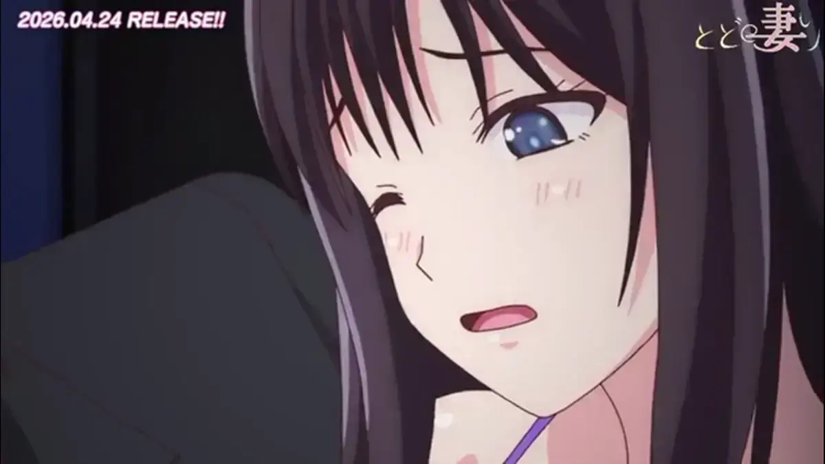 《还得是人妻》全集高清免费播放-1080P超清画质无删减版-还得是人妻动画全集在线观看