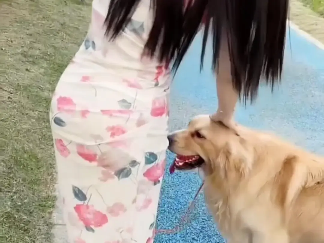 《抖音香香公主与爱犬》科普视频完整版在线免费观看-抖音香香公主与爱犬直播回放网盘资源免费领取