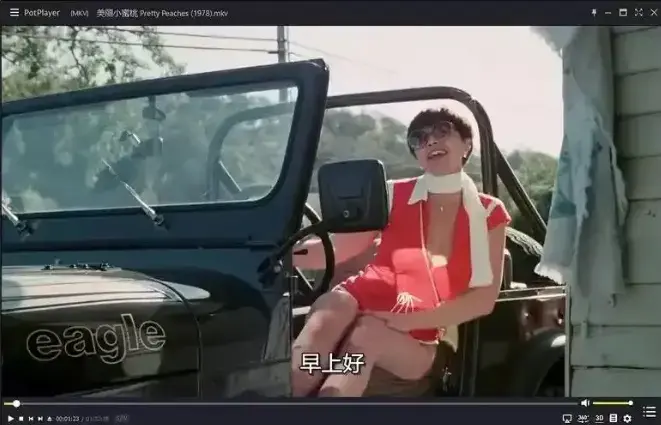 《美丽小蜜桃》未删减版在线播放-1978年喜剧电影高清中字-《美丽小蜜桃》完整版免费观看